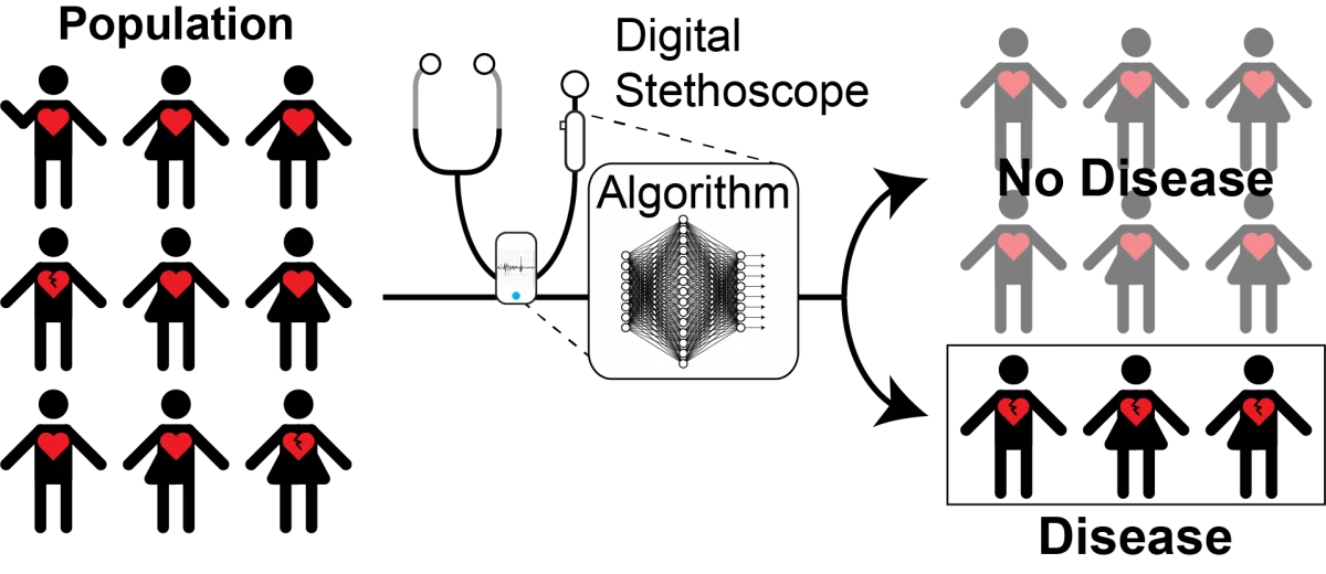 Cardiac Auscultation AI Project Schematic