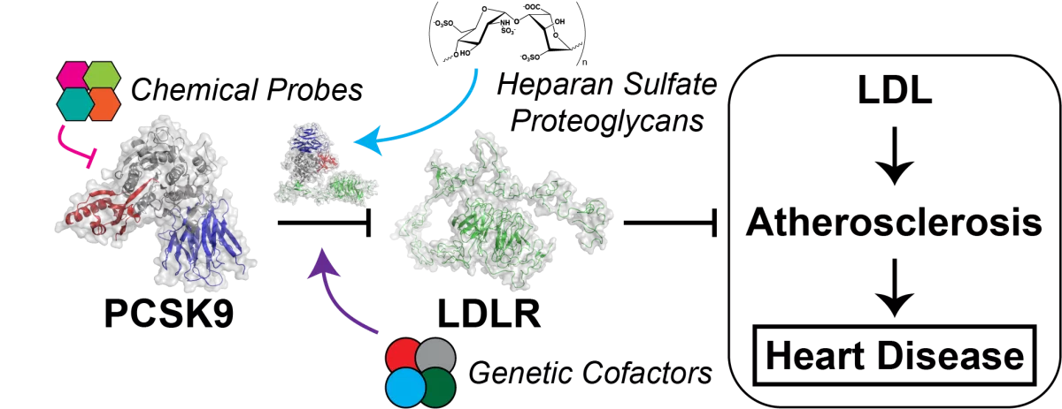 PCSK9 Project Schematic